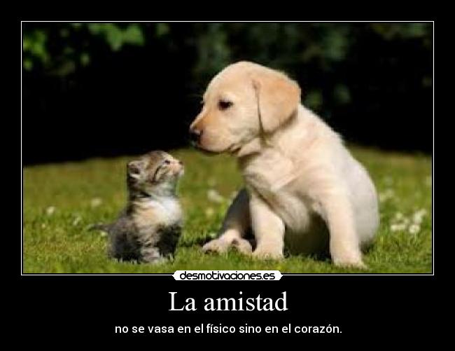 La amistad - no se vasa en el físico sino en el corazón.