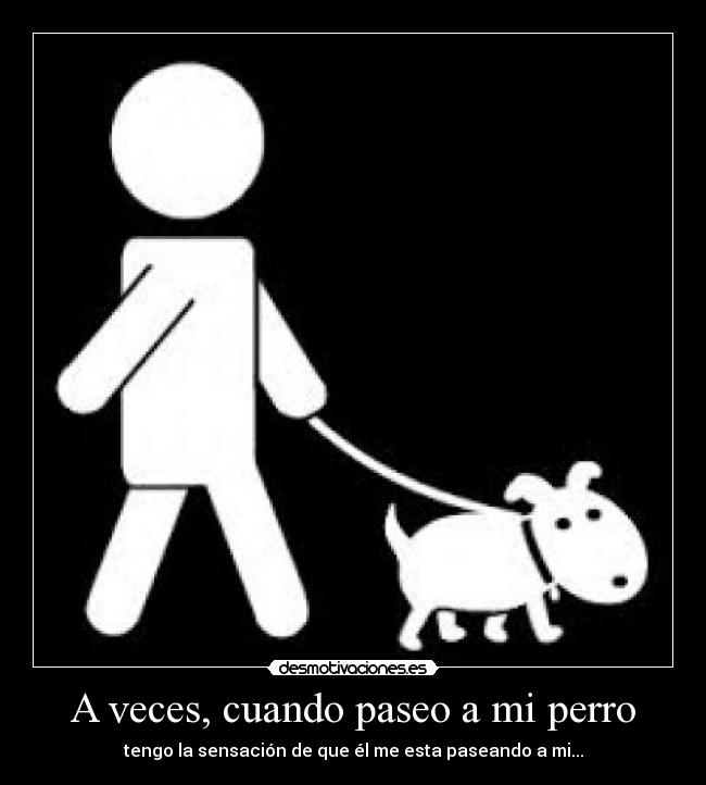 A veces, cuando paseo a mi perro - tengo la sensación de que él me esta paseando a mi...