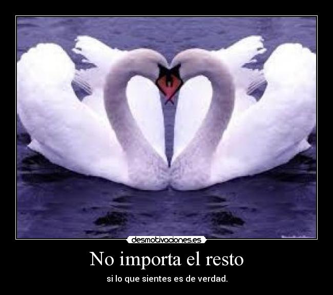 No importa el resto - si lo que sientes es de verdad.