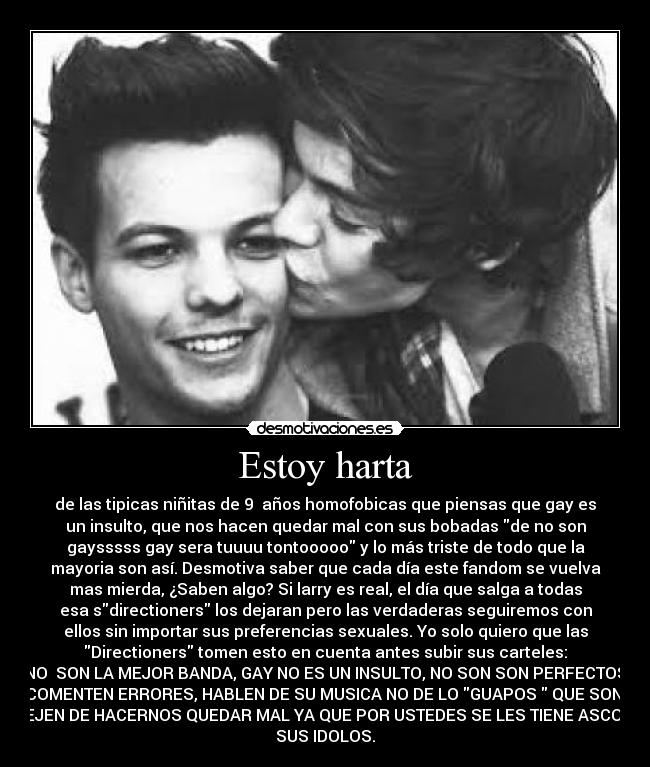 carteles larry stylinson one direction directioners gays homofobia desmotivaciones