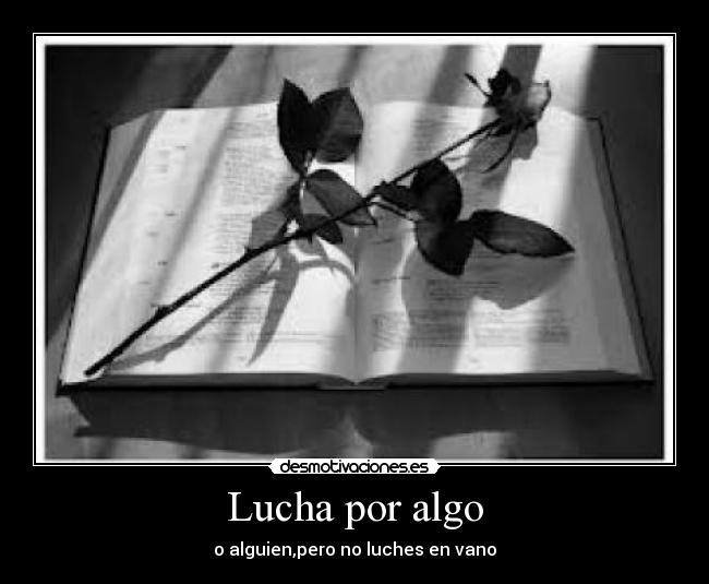 Lucha por algo - o alguien,pero no luches en vano
