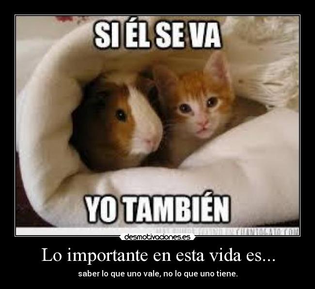Lo importante en esta vida es... - saber lo que uno vale, no lo que uno tiene.