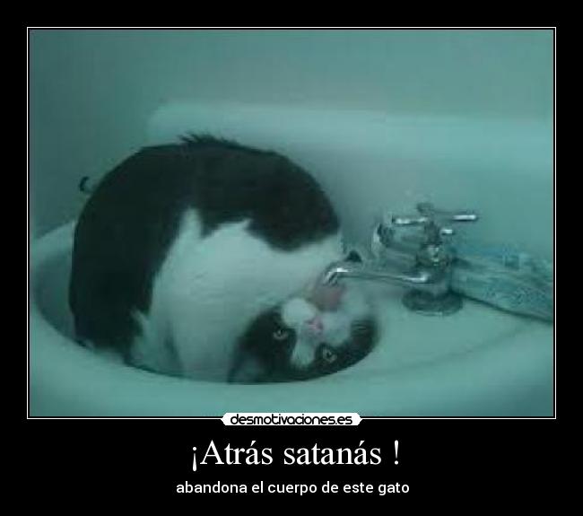 ¡Atrás satanás ! - abandona el cuerpo de este gato