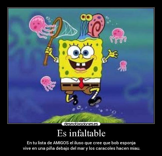 Es infaltable - En tu lista de AMIGOS el iluso que cree que bob esponja
vive en una piña debajo del mar y los caracoles hacen miau.