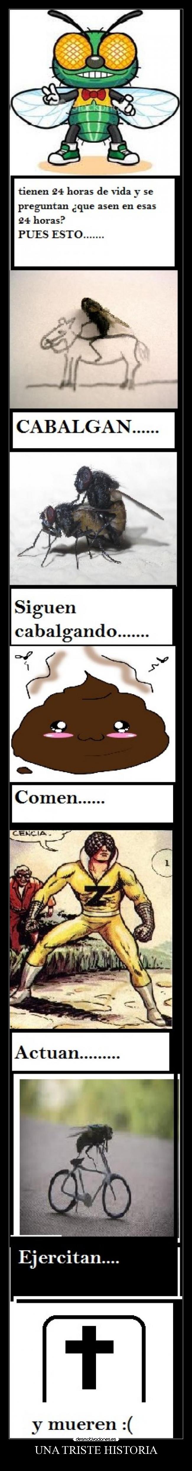 UNA TRISTE HISTORIA -