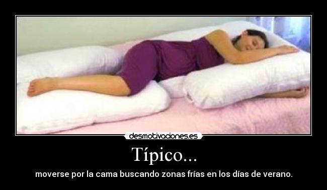 Típico... - moverse por la cama buscando zonas frías en los días de verano.