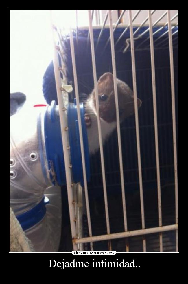 Dejadme intimidad.. - 