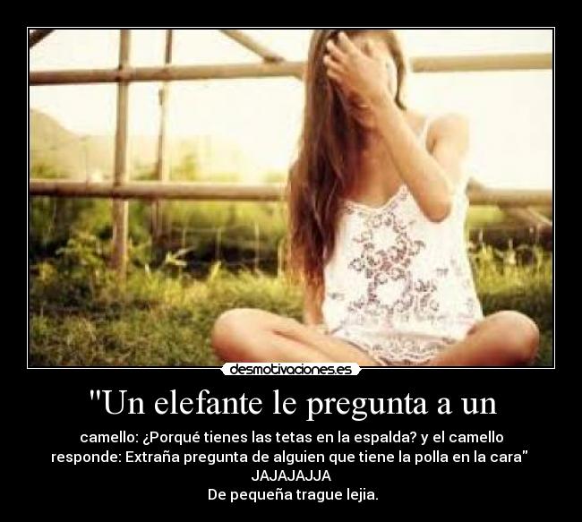 Un elefante le pregunta a un - camello: ¿Porqué tienes las tetas en la espalda? y el camello
responde: Extraña pregunta de alguien que tiene la polla en la cara 
JAJAJAJJA
 De pequeña trague lejia.