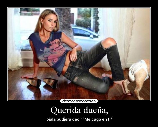 Querida dueña, -