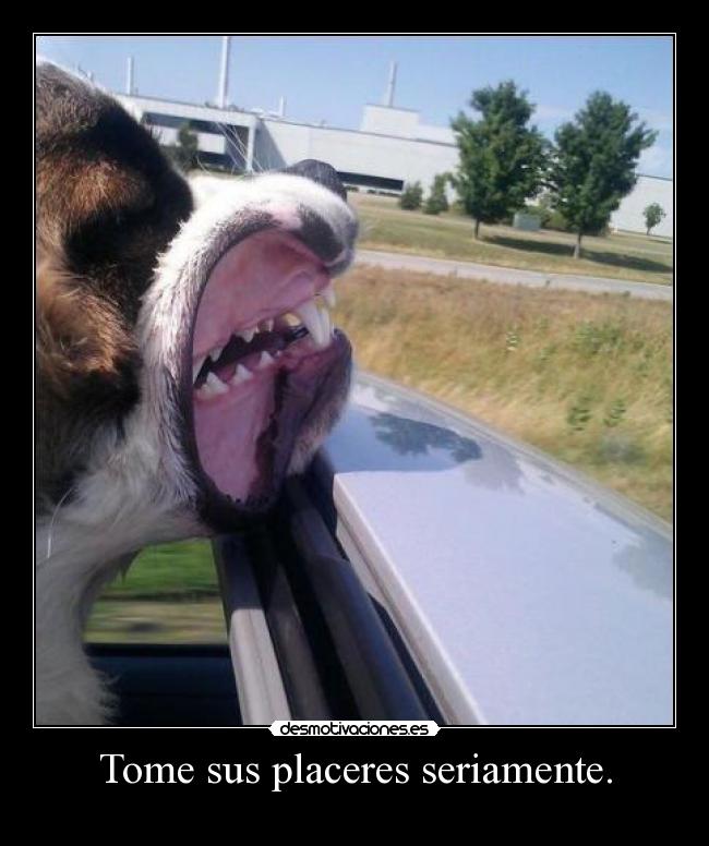 carteles tome sus placeres seriamente desmotivaciones