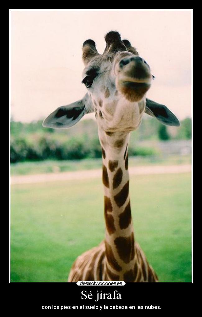 Sé jirafa - con los pies en el suelo y la cabeza en las nubes.