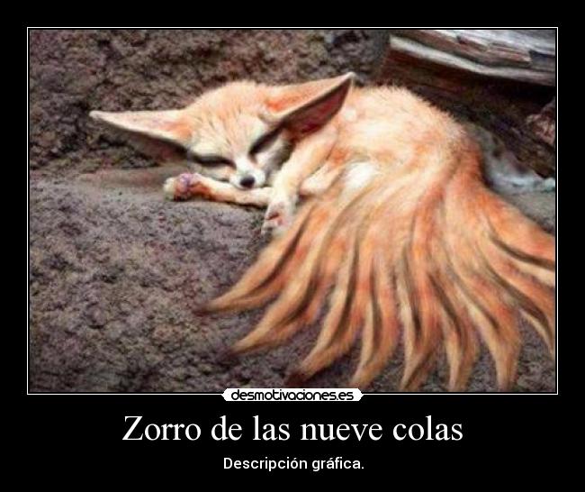Zorro de las nueve colas | Desmotivaciones
