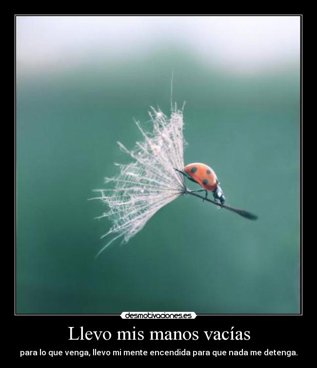 Llevo mis manos vacías - para lo que venga, llevo mi mente encendida para que nada me detenga.