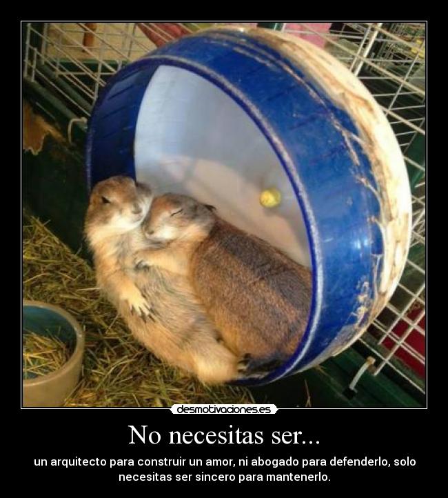 No necesitas ser... -