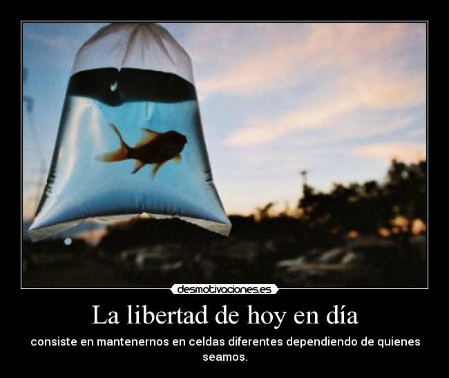 La libertad de hoy en día - consiste en mantenernos en celdas diferentes dependiendo de quienes seamos.
