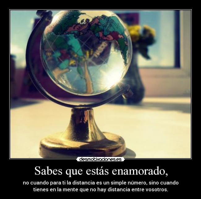 carteles directionerloveforever smile world time desmotivaciones