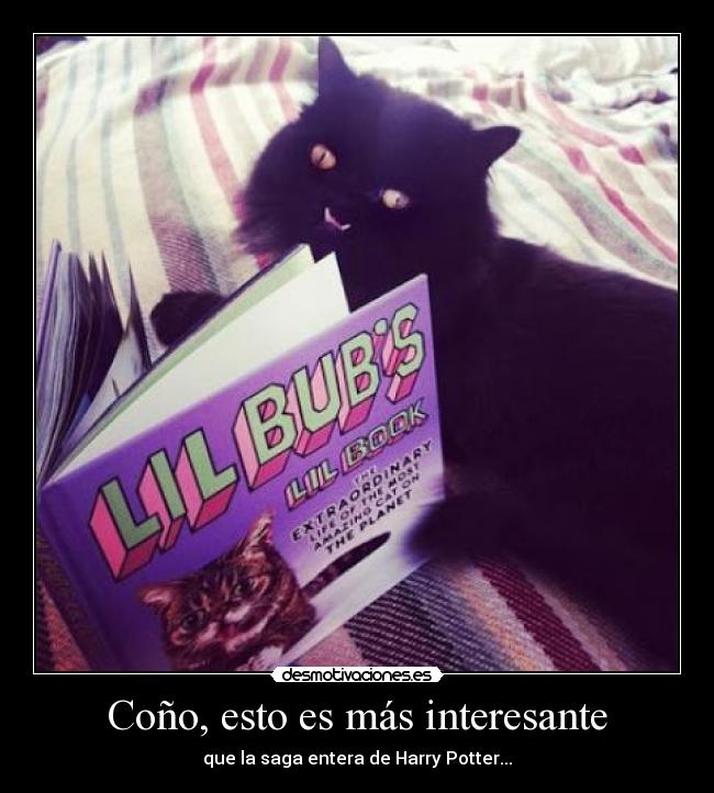 Coño, esto es más interesante -