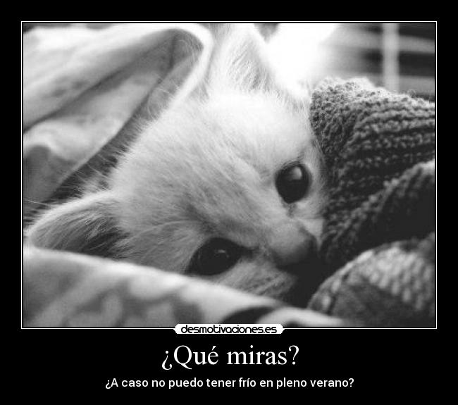 ¿Qué miras? -