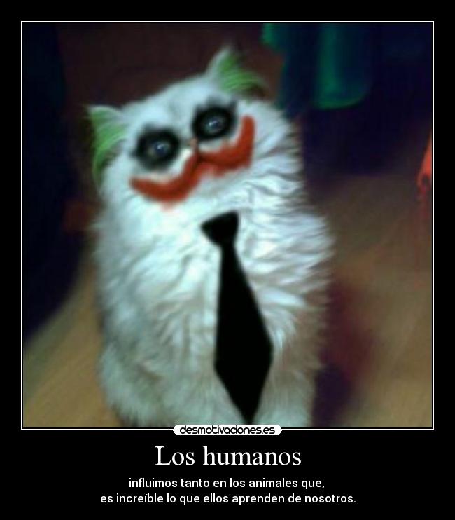 Los humanos - influimos tanto en los animales que,
es increíble lo que ellos aprenden de nosotros.