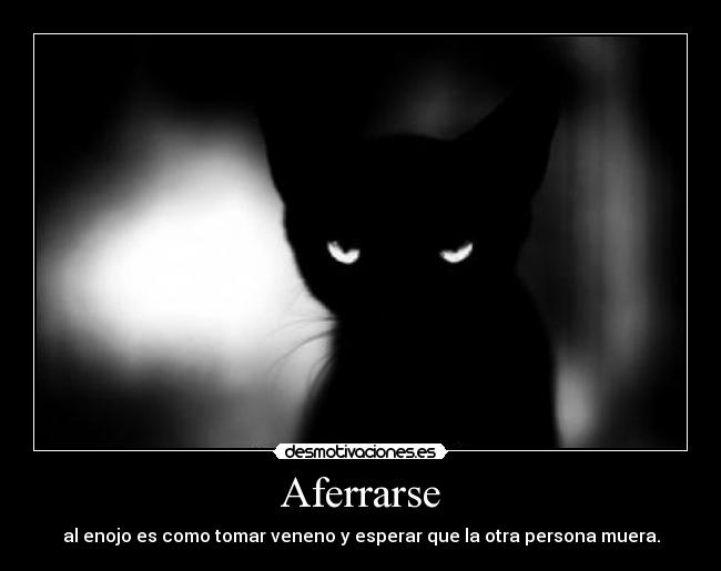 Aferrarse - al enojo es como tomar veneno y esperar que la otra persona muera.