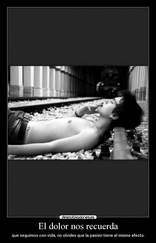 El dolor nos recuerda - que seguimos con vida, no olvides que la pasión tiene el mismo efecto.