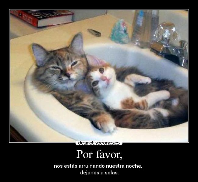 Por favor, - nos estás arruinando nuestra noche,
déjanos a solas.