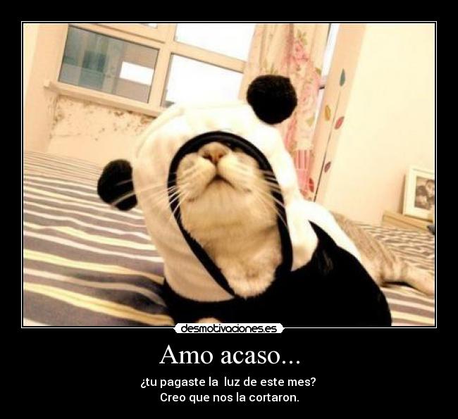 Amo acaso... - ¿tu pagaste la luz de este mes?
Creo que nos la cortaron.