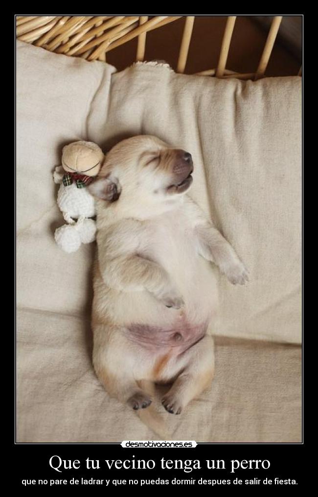 Que tu vecino tenga un perro - que no pare de ladrar y que no puedas dormir despues de salir de fiesta.