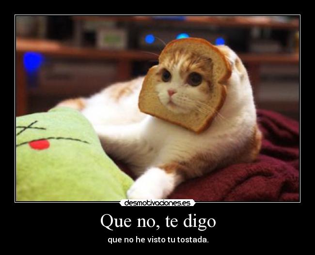 Que no, te digo - que no he visto tu tostada.