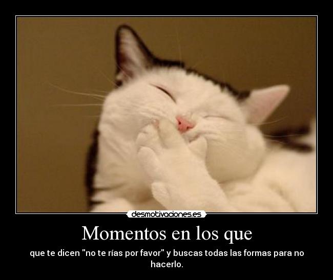 Momentos en los que - que te dicen no te rías por favor y buscas todas las formas para no hacerlo.