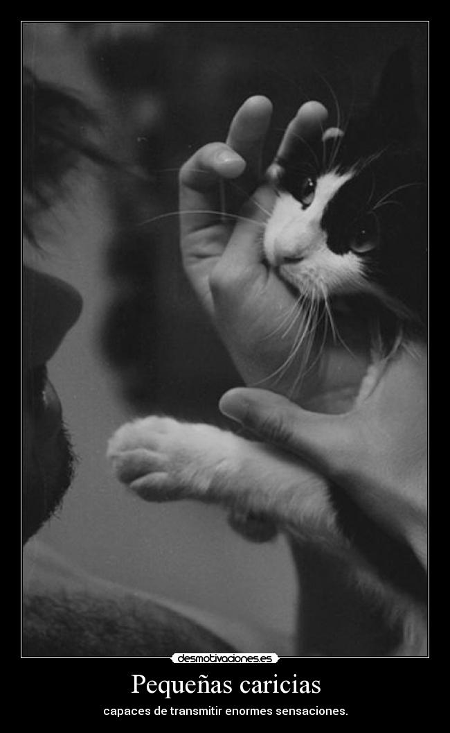 carteles directionerloveforever smile se esta muy visto desmotivaciones