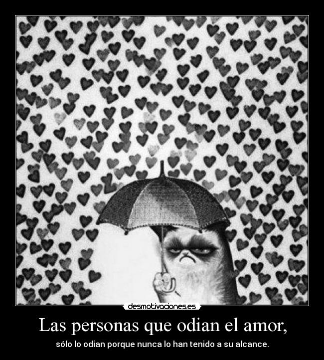 Las personas que odian el amor, - sólo lo odian porque nunca lo han tenido a su alcance.
