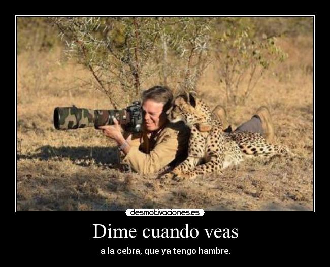 Dime cuando veas - a la cebra, que ya tengo hambre.