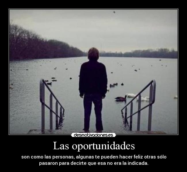 Las oportunidades - 