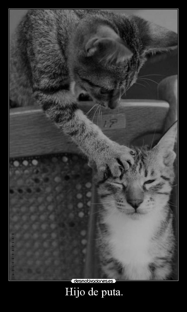 Hijo de puta. -
