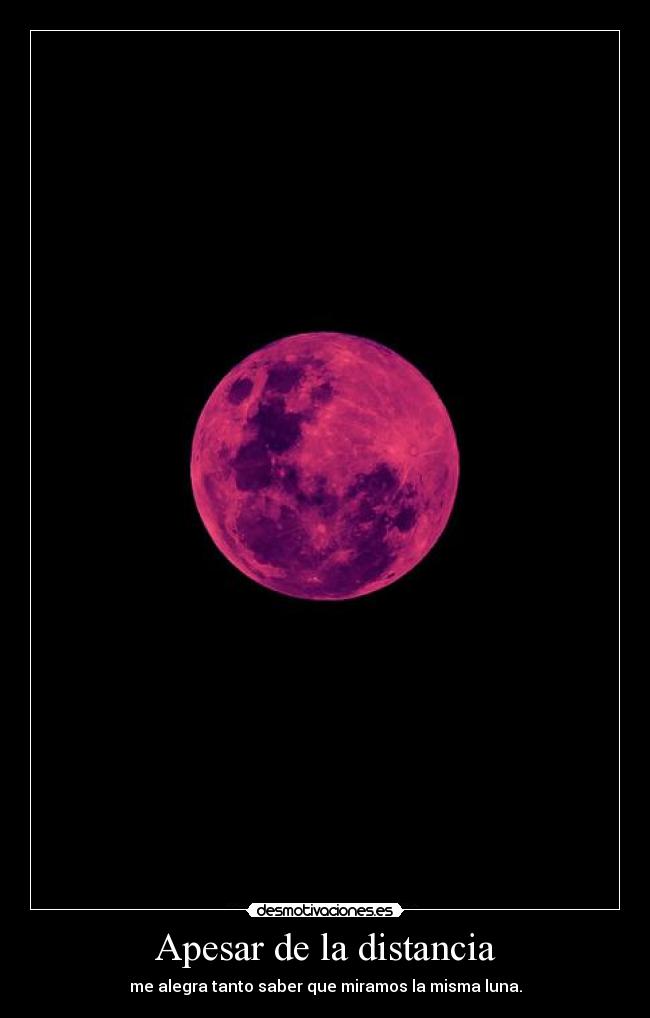 Apesar de la distancia - me alegra tanto saber que miramos la misma luna.