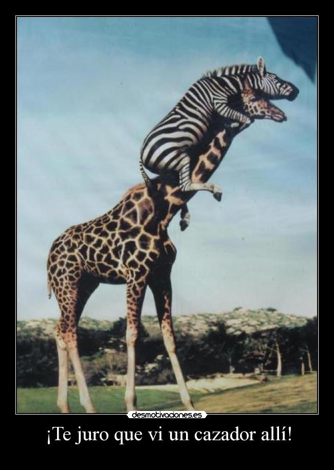 ¡Te juro que vi un cazador allí! - 