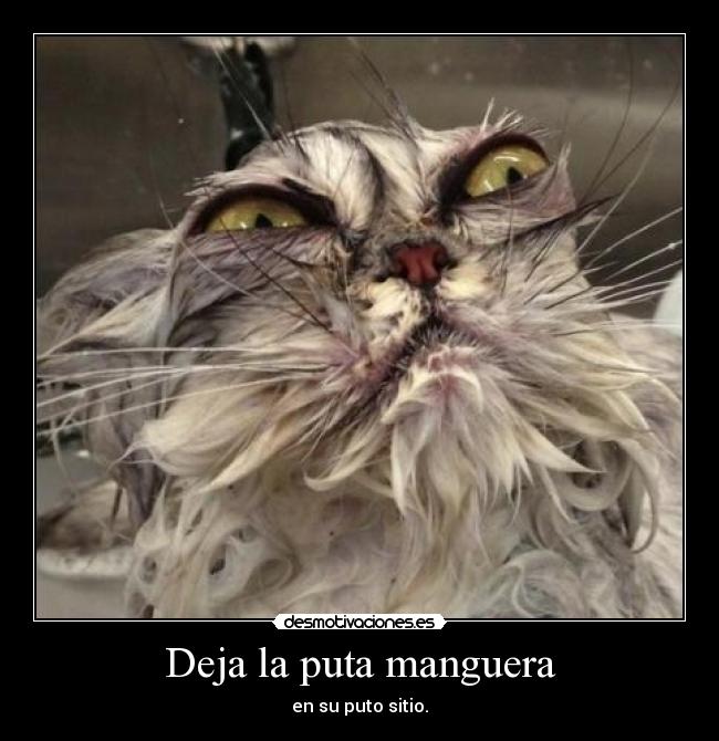 Deja la puta manguera -
