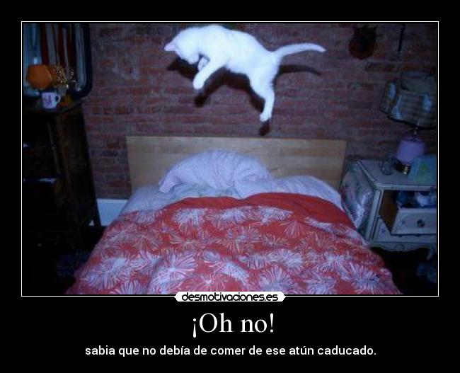 ¡Oh no! - 