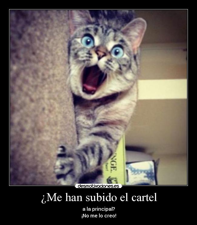 ¿Me han subido el cartel - a la principal?
¡No me lo creo!