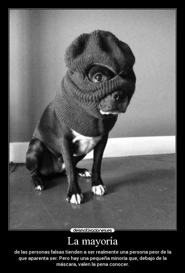 La mayoría - de las personas falsas tienden a ser realmente una persona peor de la
que aparenta ser. Pero hay una pequeña minoría que, debajo de la
máscara, valen la pena conocer.