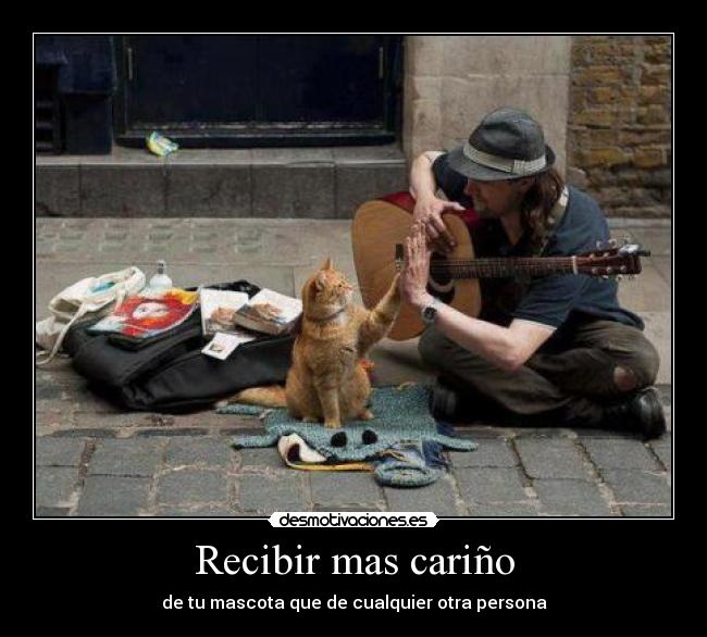 Recibir mas cariño - de tu mascota que de cualquier otra persona