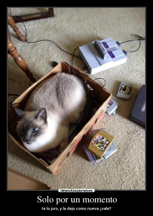 Solo por un momento - 