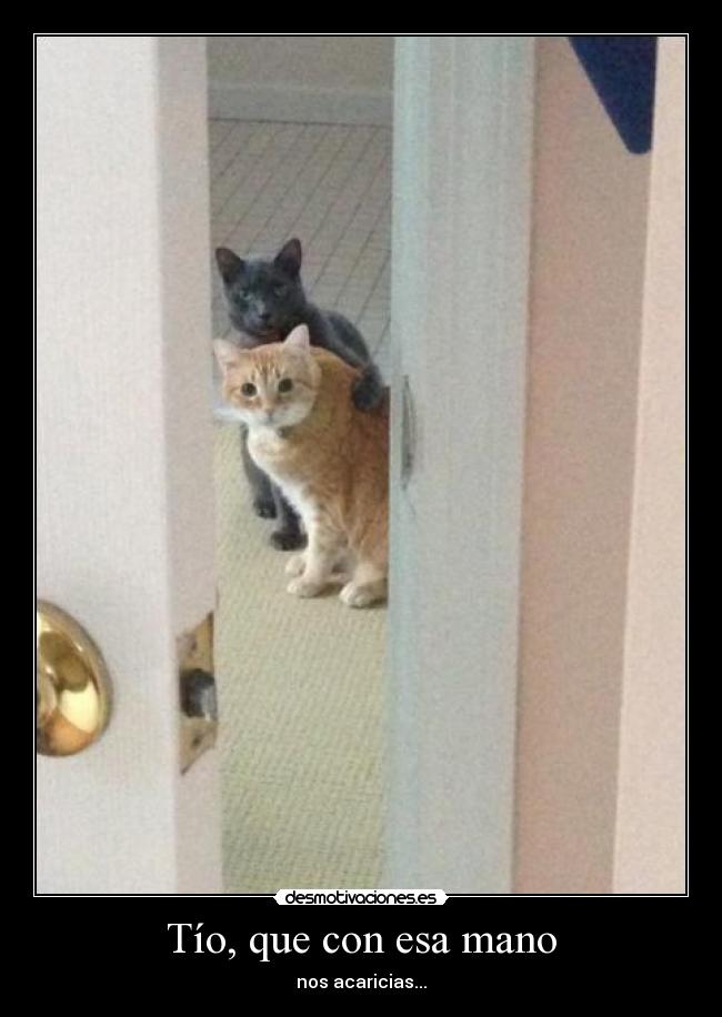 Tío, que con esa mano -