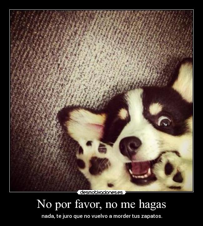 No por favor, no me hagas -