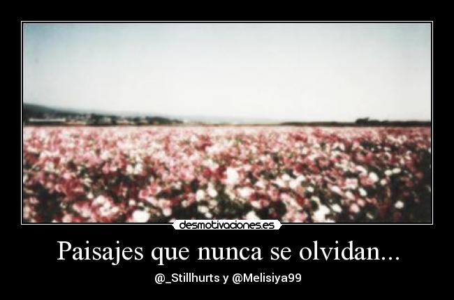 Paisajes que nunca se olvidan... - 