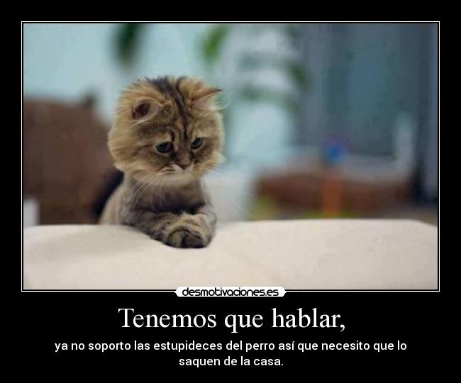 Tenemos que hablar, - ya no soporto las estupideces del perro así que necesito que lo saquen de la casa.