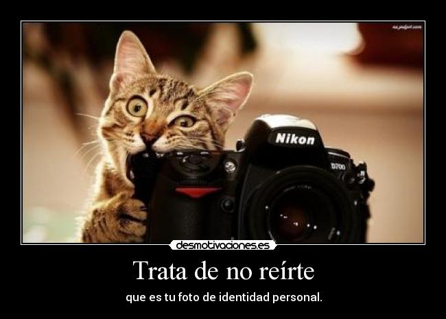 Trata de no reírte - que es tu foto de identidad personal.