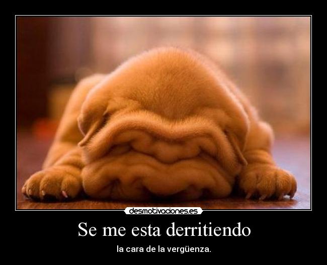 Se me esta derritiendo - la cara de la vergüenza.