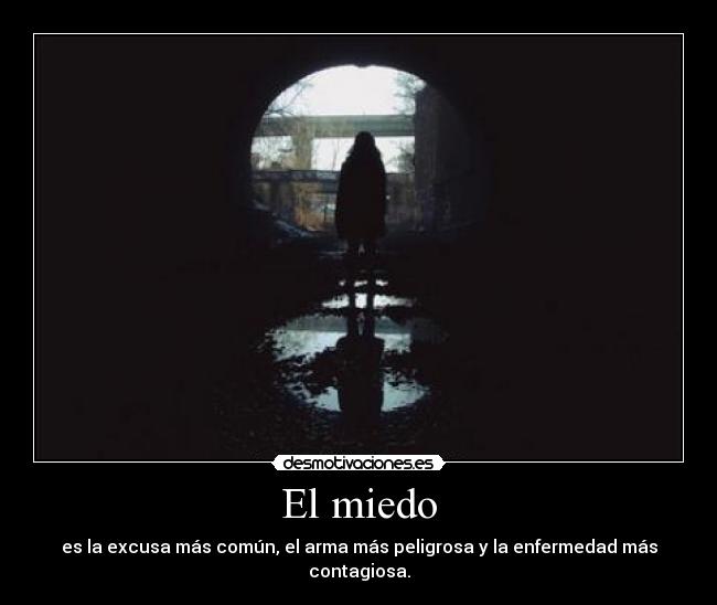 El miedo - es la excusa más común, el arma más peligrosa y la enfermedad más contagiosa.